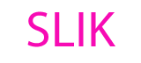 symmetry lens Inc. logo